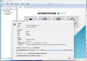 虚拟机VMware12