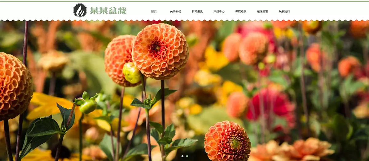 响应式绿植花卉盆栽pbootcms网站模板