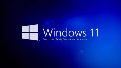 Windows 11