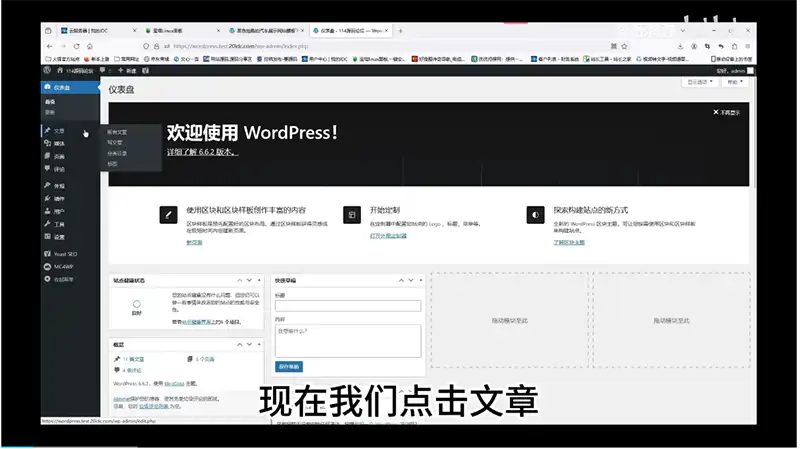 14.WordPress文章标签的管理视频教程