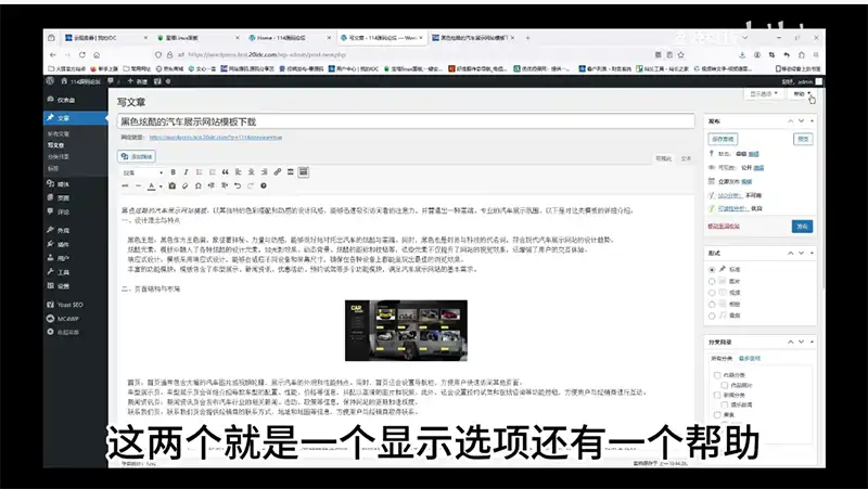 12.WordPress 文章怎么发布视频教程