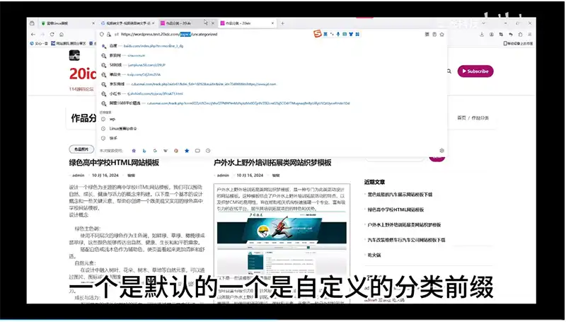 31.WordPress教程分类和标签的前缀设置